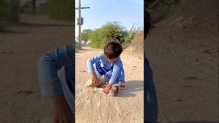 Bujbaan Kabootar ke sath asa na kiya karo 😭😘😍🕊️shorts youtubeshorts shortvideo birds [upl. by Aerdnaek409]