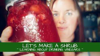 Lets Make a Shrub  Learning About Drinking Vinegars [upl. by Swithin]