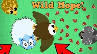 Mopeio Eagle Carries Ice Monster New Wild Mope GameMode On Beta Mopeio Beta Update [upl. by Malcolm]