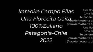 karaoke La Florecita Gaita [upl. by Sansen]