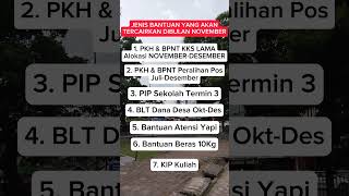 Jenis Bantuan Yang TERCAIRKAN November 2024 pkh bpnt bantuansosial [upl. by Tnahsarp84]