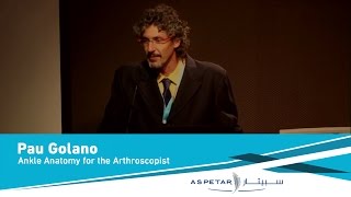 Ankle Anatomy for the Arthroscopist by Pau Golanomp4 [upl. by Gabie]