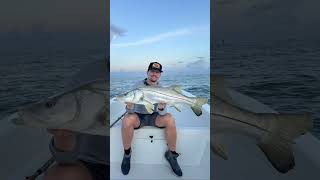 Snook season is in full effect🤧 snook fishing youtubeshorts boats florida outdoors subscribe [upl. by Nahc921]