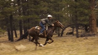 Horseback Riding near Bryce Canyon  Slow Motion [upl. by Nork]