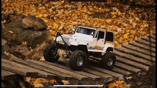 Fall Crawling  TRX4 Jeep Islander  ArtsyRC [upl. by Wilhide]