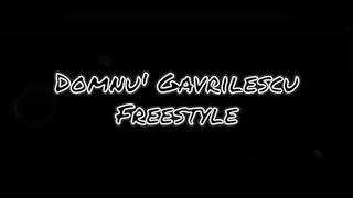 Domnu Gavrilescu  Freestyle [upl. by Inafetse]