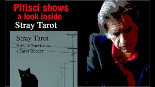 A look inside Pitiscis Stray Tarot  How to Survive as a Tarot Reader [upl. by Mahau]