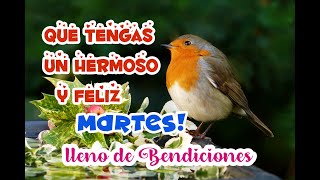 Feliz y Bendecido MartesCon bello Mensaje [upl. by Honoria]