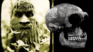 Neanderthals Debunked  Scientists Uncover the Truth About Neanderthals [upl. by Waldo]