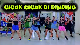 CICAK CICAK DI DINDING  TIKTOK VIRAL  CHOREO ZIN CHICIE [upl. by Charlene]