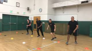 20 Meter Shuttle Run Beep Test [upl. by Hart]