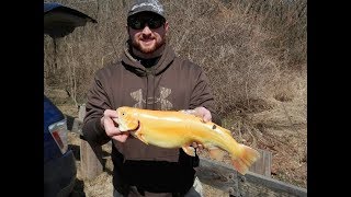 Pennsylvania First Day of Trout in Berks County [upl. by Id]