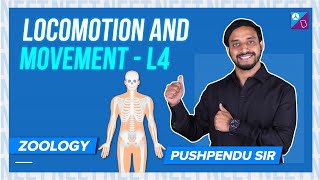 Skeletal System Pt 1  Locomotion and Movement Class 11 Biology Concept Explained  NEET 2024 Exam [upl. by Caresse]