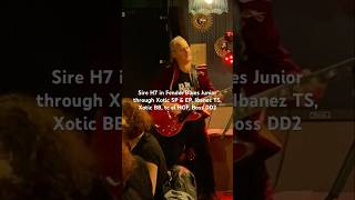 Sire H7 Larry Carlton in live condition 2 [upl. by Arracat]