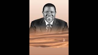 Tribute to our beloved president Dr Hage G Geingob [upl. by Ardnalac]