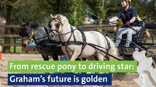 From rescue pony to driving star Graham’s future is golden [upl. by Peednama]