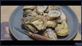 Leeuwin Coast  Albany Rock Oyster Farm [upl. by Wootan]