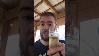 Wooly pig farm brewery kleines keller pilsner review shorts [upl. by Bueschel]