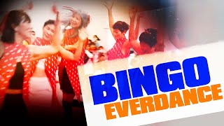 EVERDANCE  Bingo Assa Dance Cover [upl. by Holtz]