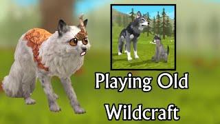 Playing Old Wildcraft  Wildcraft Animal Sim [upl. by Nehepts450]