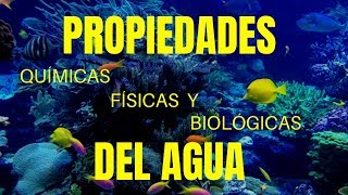 EL AGUA características químicas físicas y biológicas [upl. by Canotas240]