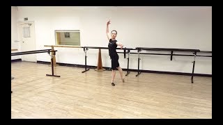 Temps Liés Combination ballet tutorial beginner [upl. by Eerahc608]