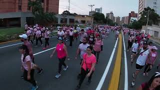 ASI FUE LA MAREA ROSA 2024 MARACAIBO [upl. by Icnan]