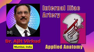 Internal Iliac Artery Applied Anatomy [upl. by Fadas]