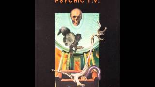 Roman P  Psychic TV amp The Temple Ov Psychick Youth quotNeurology Double Grove by TOPYquot [upl. by Naejeillib]