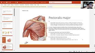 Muscles of Pectoral Girdle [upl. by Salomie]