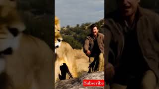 lion animals lionking wildlife lioness lionroaring lionattack [upl. by Tiras]