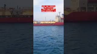 LPGC GAS FREESIA shorts youtubeshorts tankership tankerships shipspotting shipspotter [upl. by Willett557]