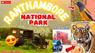 RANTHAMBORE NATIONAL PARK JUNGLE SAFARI 🤩  EPISODE 2  yuvrajjimcorbett [upl. by Rettuc218]