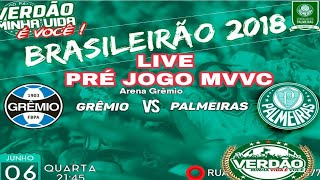 PRÉ JOGO GRÊMIO X PALMEIRAS JOGÃO DE BOLAMIRANDA NO PALMEIRASPARABÉNS MOLECADA CAMPEÃ MUNDIAL [upl. by Zil529]