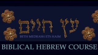 114 Biblical Hebrew Course and Grammar Lessons Demonstrative Pronouns Exercise [upl. by Adilen245]