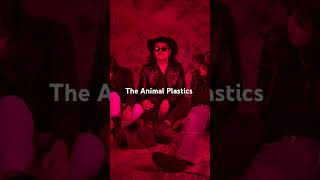 The Animal Plastics [upl. by Auop164]