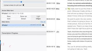 Transcriptive Rough Cutter 30  Premiere Panel and Web App differences [upl. by Haze488]