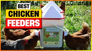 Best Chicken Feeders 2024 Top 7 Pick [upl. by Ayekram464]