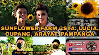 SUNFLOWER FARM STA LUCIA CUPANG ARAYAT PAMPANGA [upl. by Merow719]