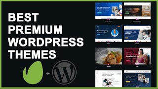 11 Best Pro Themes For WordPress Websites [upl. by Chaille]