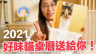 【好味小姐】2021好味貓桌曆送給你！今年也要一直跟貓咪在一起｜好味商店EP14 [upl. by Nnateragram]