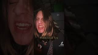 Pennyroyal tea  Nirvana nirvana grunge music cover aic alternative [upl. by Eppesuig429]