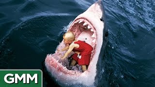 6 Strangest Things Swallowed by a Shark [upl. by Elak]