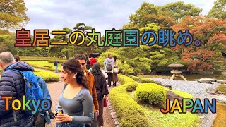 4K Imperial Palace NinoMaru Garden Inside View  Walk in Imperial Palace Garden Tokyo Japan [upl. by Anawqahs]