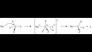 SN2 Reaction Mechanism [upl. by Ycrem876]