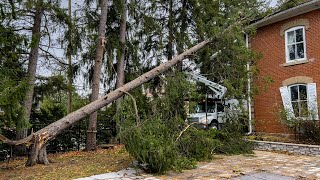 Experts confirm tornado touched down in Fergus Ont [upl. by Sirroned]