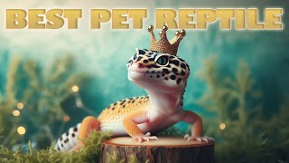 RANKING THE BEST PET REPTILES on a TIER LIST [upl. by Oniskey318]