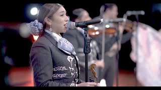 A Mi Veracruz  Mariachi Aztlán HD 1080p [upl. by Meara]