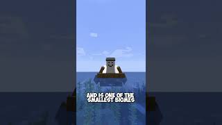 The rarest biome in Minecraft is shorts minecraft [upl. by Aisital]