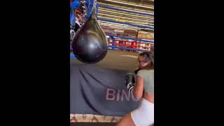 Coach Hanieh G has some scary power boxing heavybag hbc viralshort viralvideo [upl. by Ransome]